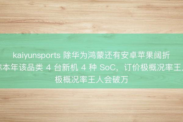kaiyunsports 除华为鸿蒙还有安卓苹果阔折：音书称本年该品类 4 台新机 4 种 SoC，订价极概况率王人会破万
